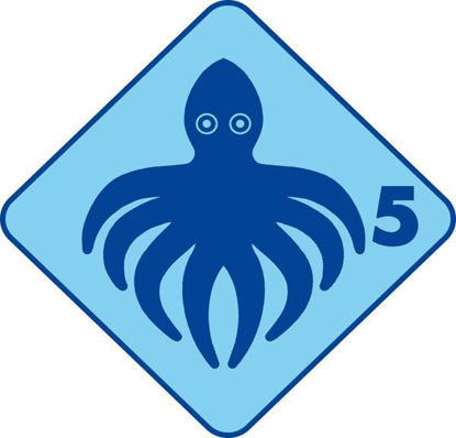 Bild von Kinderkurs Tintenfisch