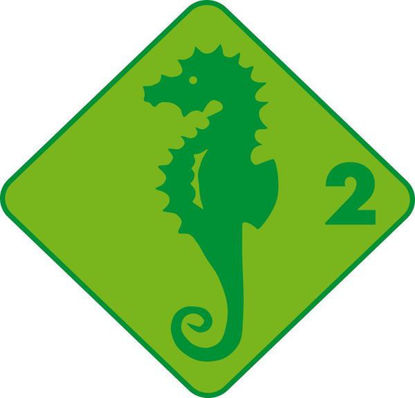 Bild von Kinderkurs Seepferd