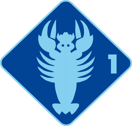 Bild von Kinderkurs Krebs